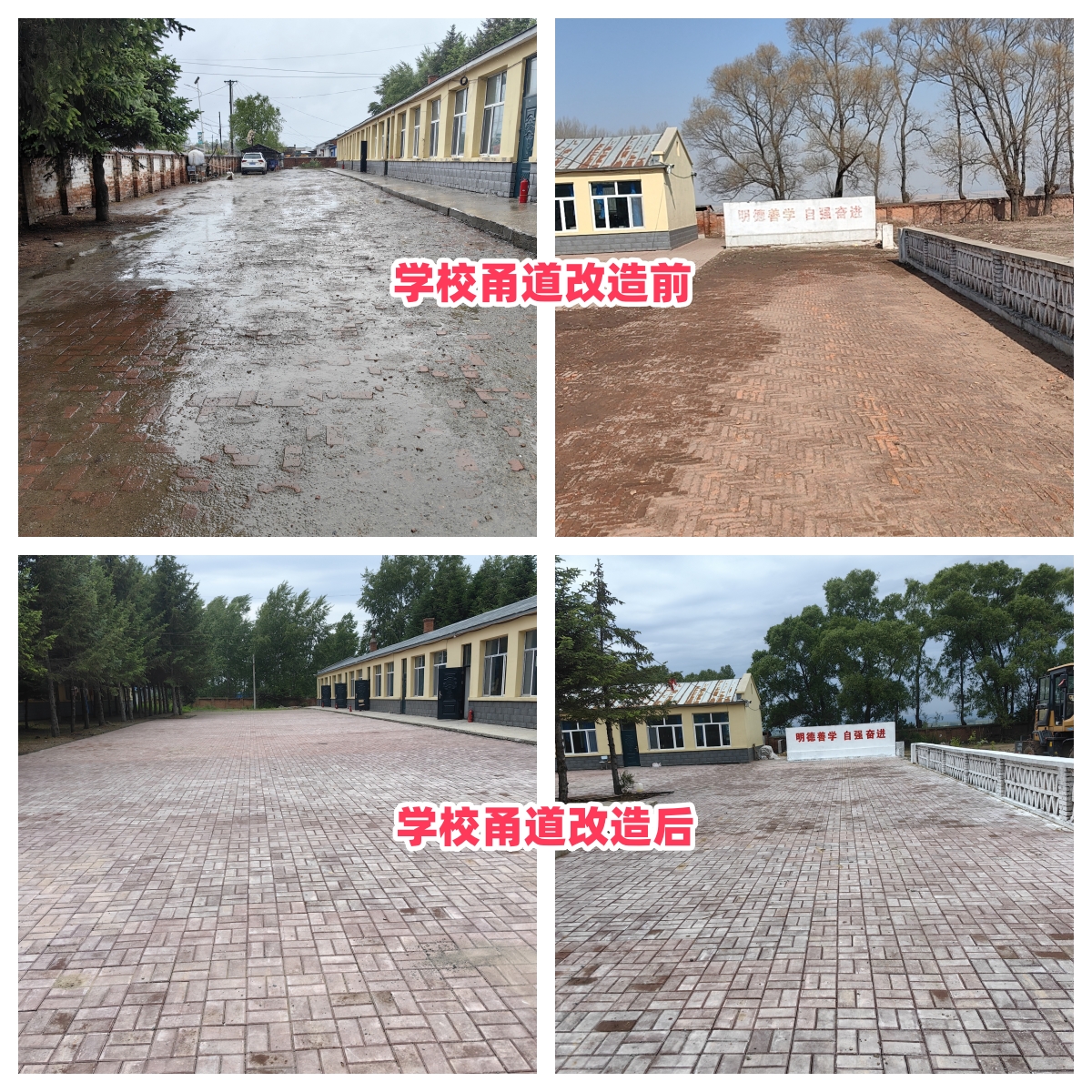 第254所 黑龙江巴彦县黑山镇民乐村爱体育在线侯玉霞学校 第254所 黑龙江巴彦县黑山镇民乐村爱体育在线侯玉霞学校